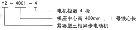 YR系列(H355-1000)高压YR4504-6三相异步电机西安西玛电机型号说明